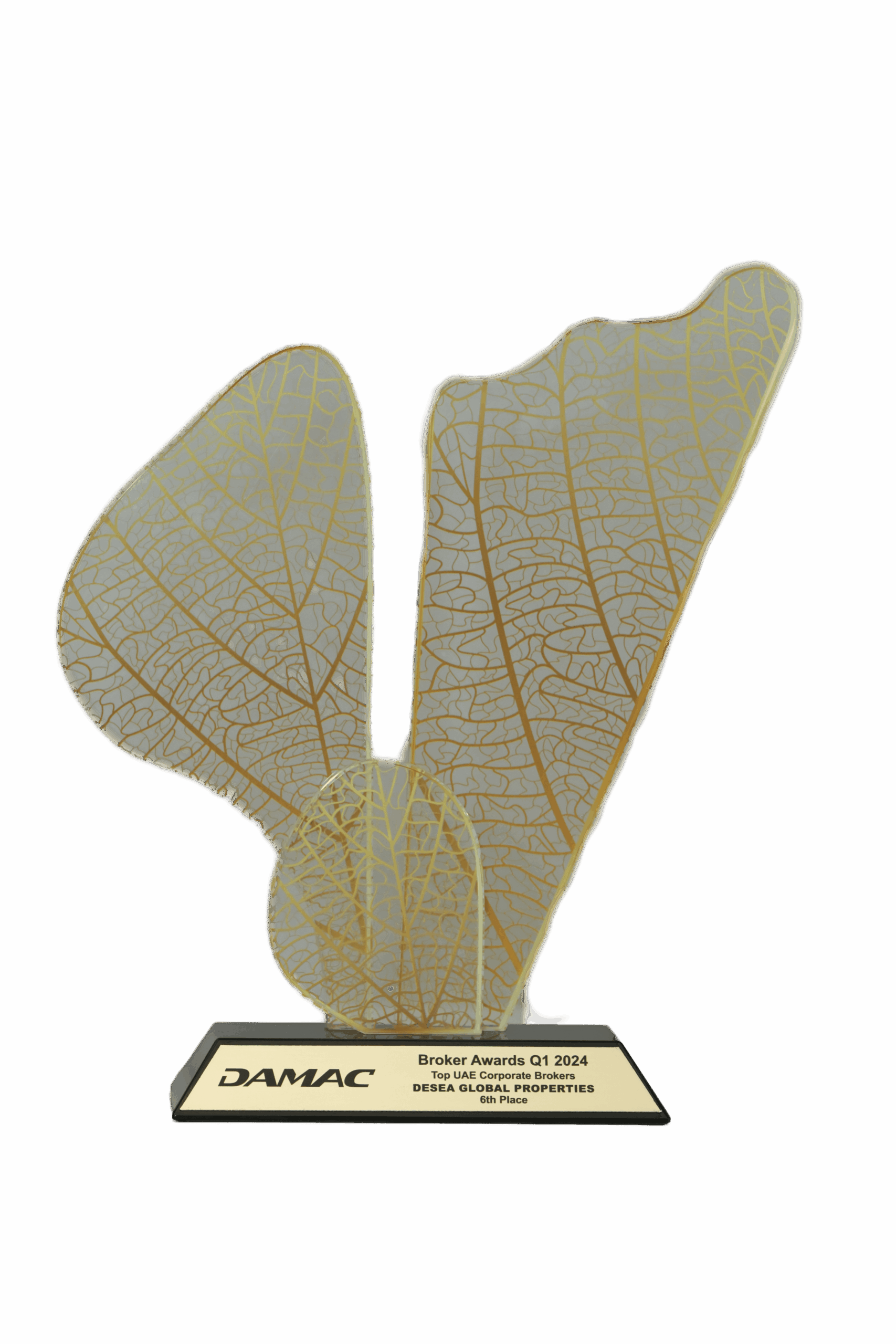 20241004_160312000_iOS (1)